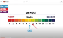 Youtube Lehrfilm von Prof. Woodhouse zur Azidose